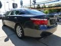 Smokey Granite Gray Mica - LS 460 AWD Photo No. 9