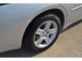Bright Silver Metallic - Charger R/T Photo No. 6
