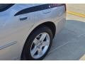 Bright Silver Metallic - Charger R/T Photo No. 13