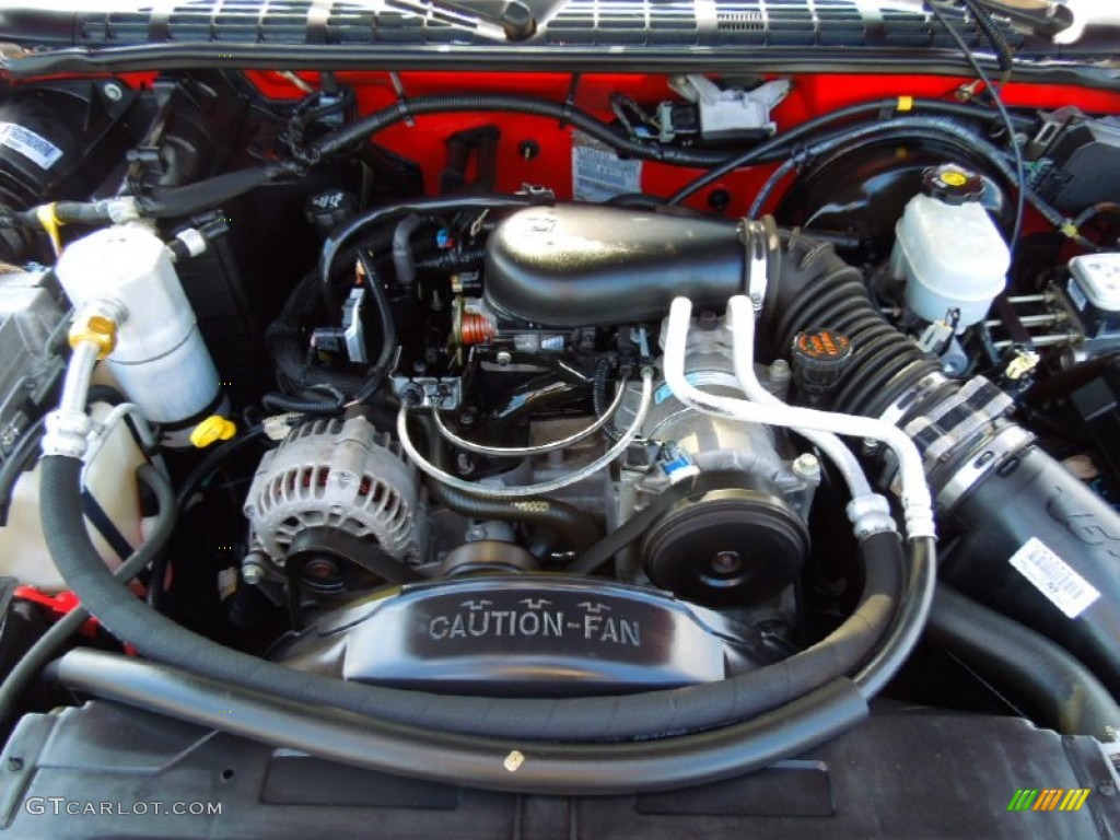 2003 Chevrolet S10 LS Regular Cab 4.3 Liter OHV 12V Vortec V6 Engine Photo #71059334