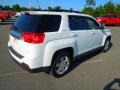 Olympic White - Terrain SLE Photo No. 6