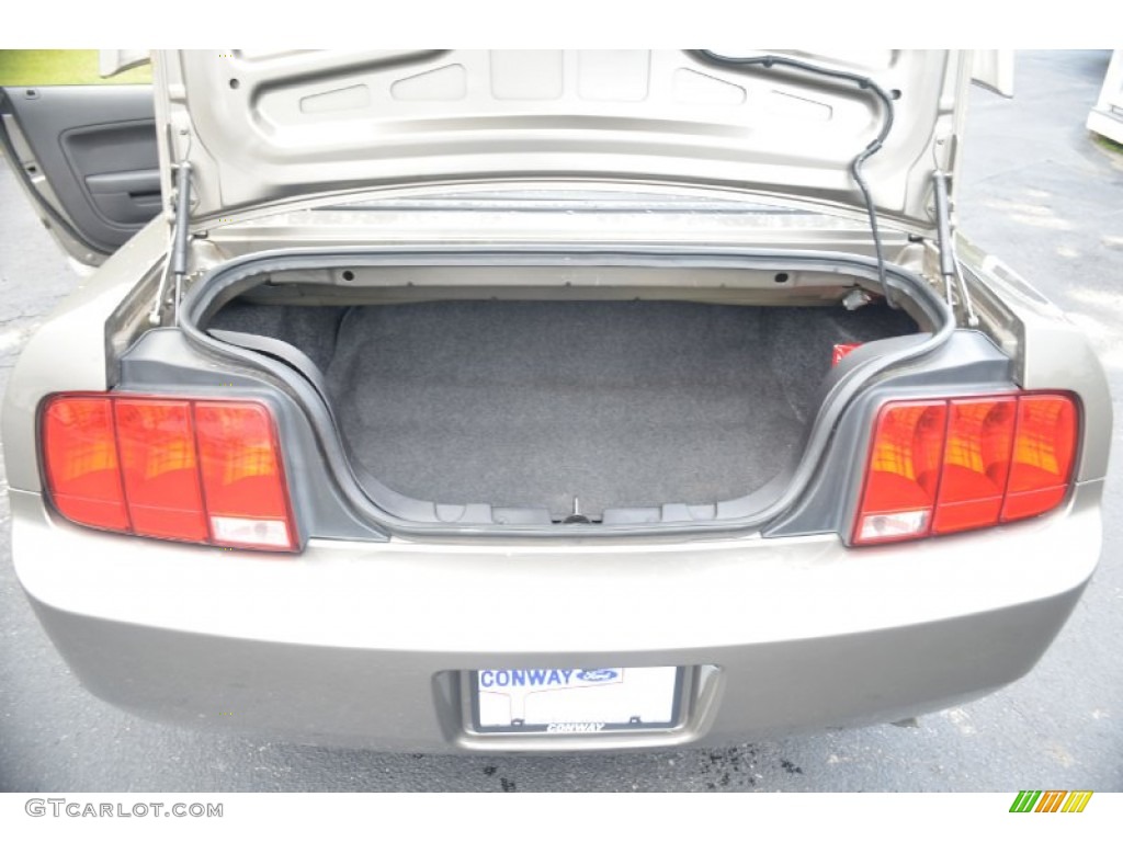 2005 Mustang V6 Deluxe Convertible - Mineral Grey Metallic / Dark Charcoal photo #16