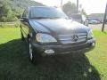 Black - ML 350 4Matic Photo No. 1