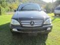 Black - ML 350 4Matic Photo No. 2