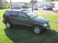 Black - ML 350 4Matic Photo No. 16