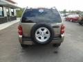 Light Khaki Metallic - Liberty Limited 4x4 Photo No. 4
