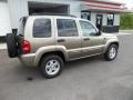 Light Khaki Metallic - Liberty Limited 4x4 Photo No. 6