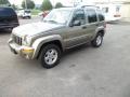 Light Khaki Metallic - Liberty Limited 4x4 Photo No. 8