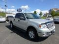 2004 Silver Metallic Ford F150 XLT SuperCrew 4x4  photo #1