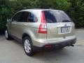 2007 Borrego Beige Metallic Honda CR-V EX-L  photo #10