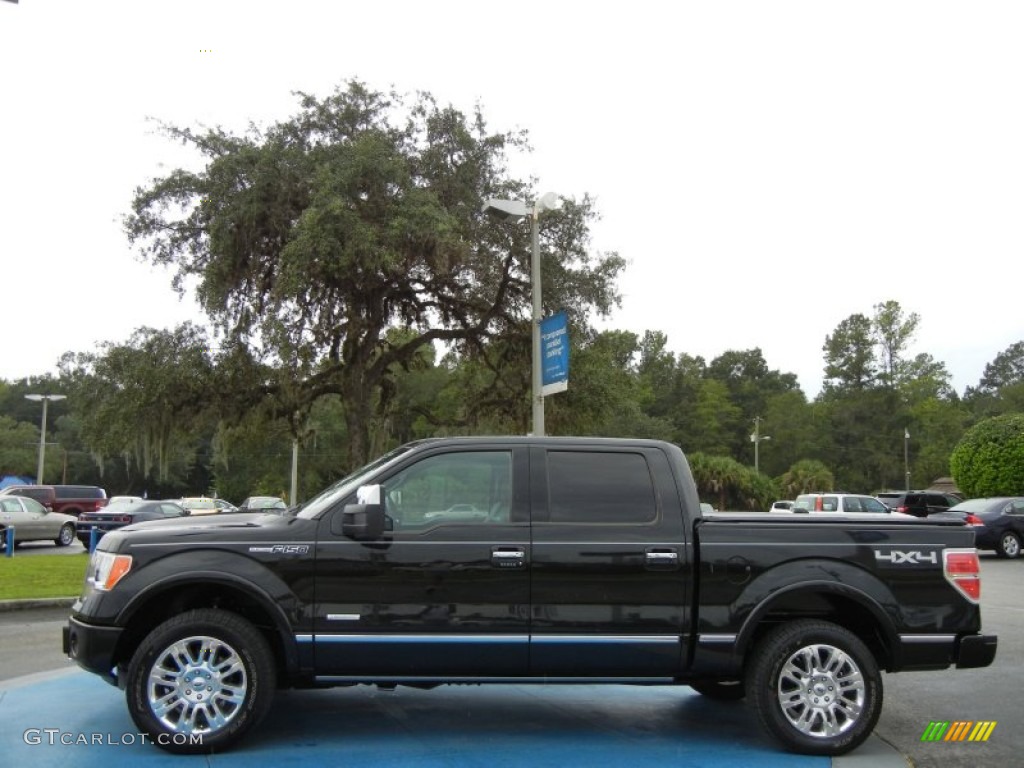 Tuxedo Black Metallic 2012 Ford F150 Platinum SuperCrew 4x4 Exterior Photo #71078833