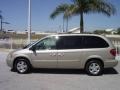 Linen Gold Metallic - Grand Caravan SXT Photo No. 3
