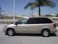 2006 Linen Gold Metallic Dodge Grand Caravan SXT  photo #3