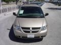 Linen Gold Metallic - Grand Caravan SXT Photo No. 8