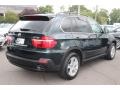 Deep Green Metallic - X5 xDrive48i Photo No. 5
