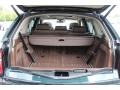 Tobacco Nevada Leather Trunk Photo for 2009 BMW X5 #71092573