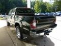 Spruce Green Mica - Tacoma V6 SR5 Double Cab 4x4 Photo No. 4