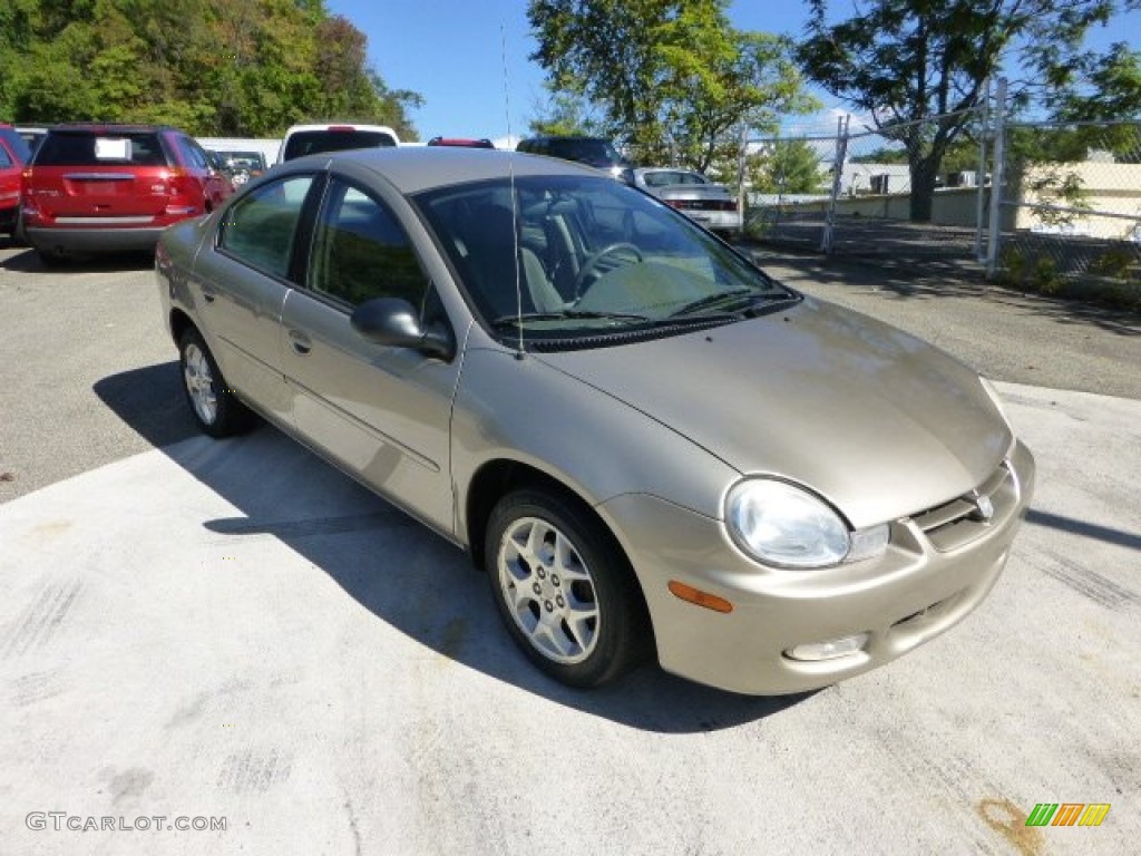 Light Almond Pearl Metallic 2002 Dodge Neon ES Exterior Photo #71099927