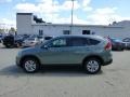 Opal Sage Metallic - CR-V EX-L 4WD Photo No. 1