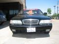Super Black - Q 45 Photo No. 2
