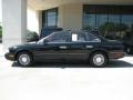 Super Black - Q 45 Photo No. 4