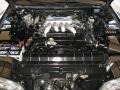Super Black - Q 45 Photo No. 20
