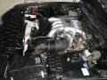 Super Black - Q 45 Photo No. 21