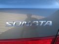 Willow Gray - Sonata Limited V6 Photo No. 15