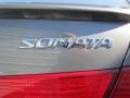 Willow Gray - Sonata Limited V6 Photo No. 18