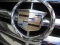 Black Raven - Escalade ESV Platinum AWD Photo No. 31