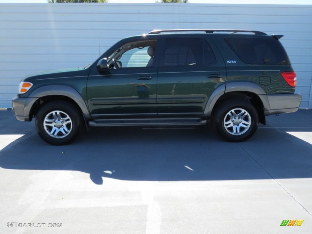 2004 Sequoia SR5 - Imperial Jade Green Mica / Oak photo #5