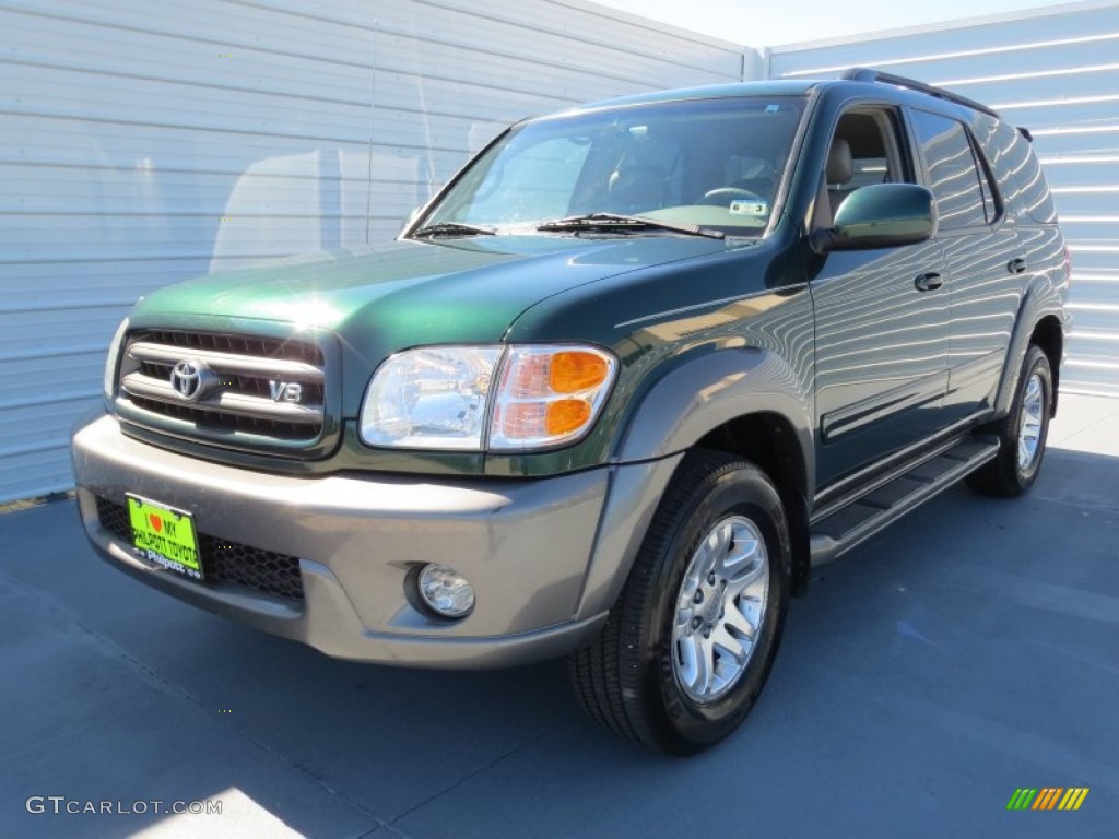 2004 Sequoia SR5 - Imperial Jade Green Mica / Oak photo #6