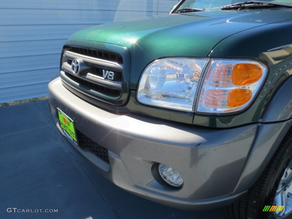 2004 Sequoia SR5 - Imperial Jade Green Mica / Oak photo #9