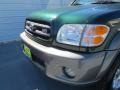 2004 Imperial Jade Green Mica Toyota Sequoia SR5  photo #9