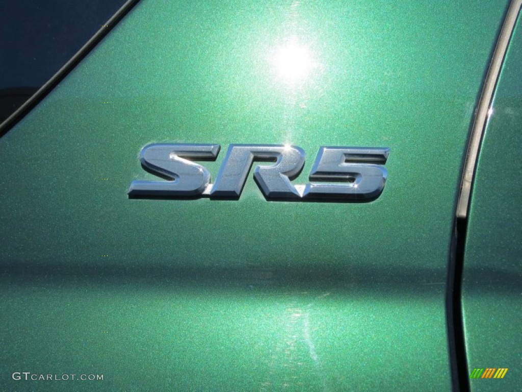 2004 Sequoia SR5 - Imperial Jade Green Mica / Oak photo #15