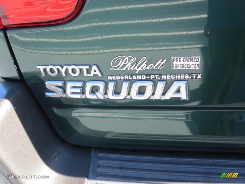 2004 Sequoia SR5 - Imperial Jade Green Mica / Oak photo #18