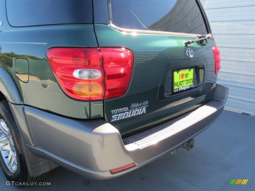 2004 Sequoia SR5 - Imperial Jade Green Mica / Oak photo #19