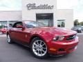 2010 Red Candy Metallic Ford Mustang V6 Premium Convertible  photo #33