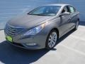 Harbor Gray Metallic - Sonata SE Photo No. 6