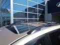 Sandy Beach Metallic - RAV4 Limited 4WD Photo No. 2