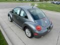 Platinum Grey Metallic - New Beetle GLS TDI Coupe Photo No. 5