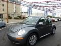 Platinum Grey - New Beetle 2.5 Coupe Photo No. 1