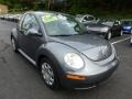 Platinum Grey - New Beetle 2.5 Coupe Photo No. 2