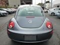 Platinum Grey - New Beetle 2.5 Coupe Photo No. 11