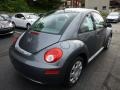 Platinum Grey - New Beetle 2.5 Coupe Photo No. 12