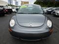 Platinum Grey - New Beetle 2.5 Coupe Photo No. 14