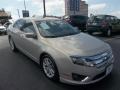 2010 Smokestone Metallic Ford Fusion SEL  photo #1