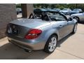Palladium Silver Metallic - SLK 350 Roadster Photo No. 14