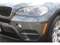 Platinum Gray Metallic - X5 xDrive 35i Photo No. 31