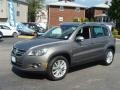 Alpine Grey Metallic - Tiguan SEL 4Motion Photo No. 3